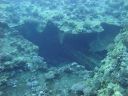DSC00819.JPG