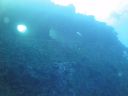 DSC00838.JPG
