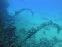 DSC00879.JPG