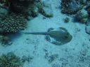 DSC00957.JPG