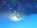 DSC00958.JPG