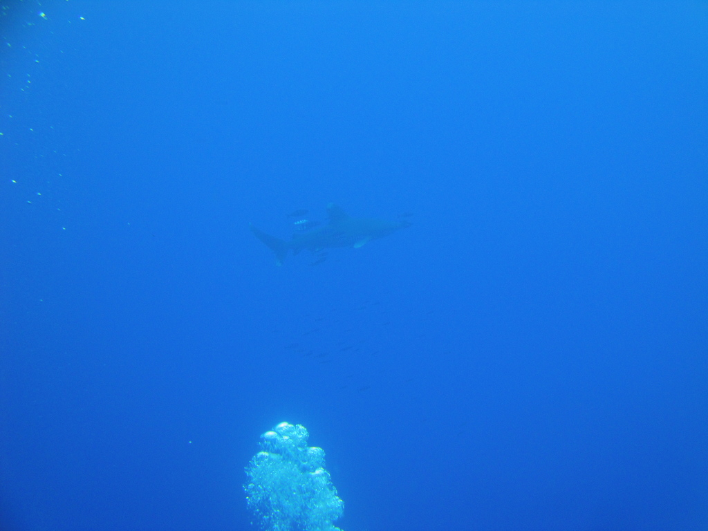 DSC00079.JPG