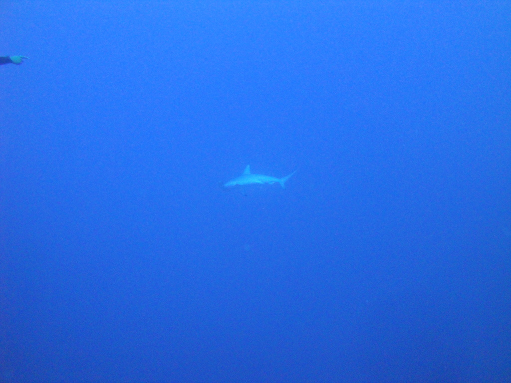 DSC00175.JPG