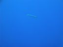 DSC00025.JPG