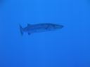 DSC00026.JPG