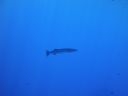 DSC00027.JPG