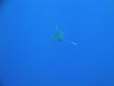DSC00035.JPG