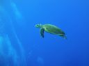 DSC00040.JPG