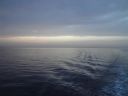 DSC00122.JPG