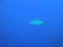 DSC00126.JPG