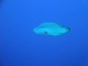 DSC00127.JPG