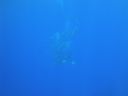 DSC00133.JPG