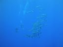 DSC00140.JPG