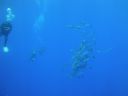 DSC00141.JPG