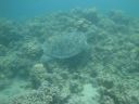 DSC00209.JPG