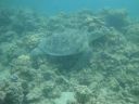 DSC00210.JPG