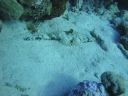 DSC00226.JPG