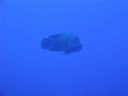 DSC00244.JPG