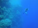 DSC00296.JPG