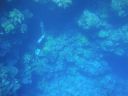 DSC00297.JPG