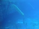 DSC00318.JPG