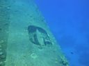DSC00328.JPG