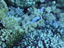 DSC00332.JPG