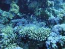 DSC00333.JPG