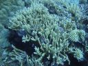 DSC00334.JPG