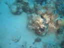 DSC00542.JPG