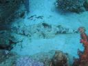 DSC00544.JPG