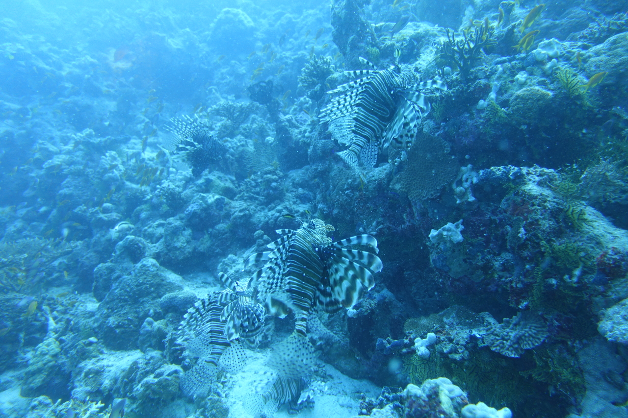 DSC00401.JPG