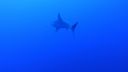 DSC00025.JPG