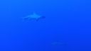 DSC00067.JPG