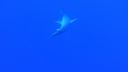 DSC00077.JPG