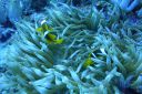 DSC00091.JPG