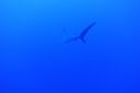 DSC00095.JPG