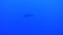 DSC00103.JPG