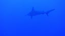 DSC00110.JPG