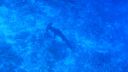 DSC00116.JPG