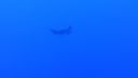DSC00195.JPG