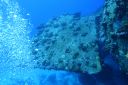 DSC00209.JPG