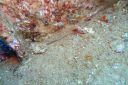 DSC00210.JPG