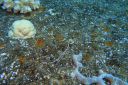 DSC00220.JPG
