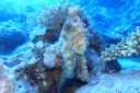 DSC00519.JPG