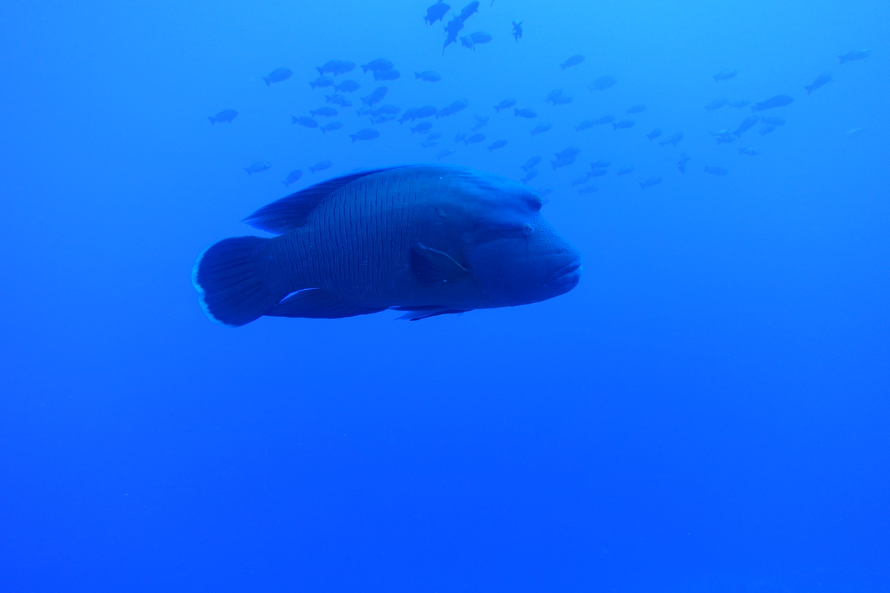 DSC00030.JPG