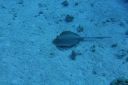 DSC00012.JPG