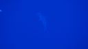 DSC00041.JPG