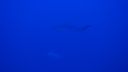 DSC00043.JPG