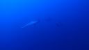 DSC00054.JPG